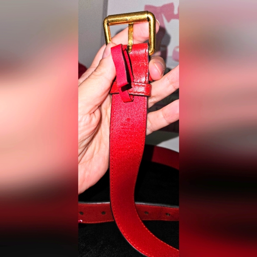 Gucci GG Red Calfsking Belt Bag with Gold Logo - Picture 13 of 16